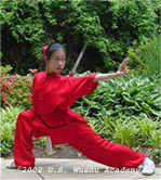 Diana 2002 Wushu Sword 1