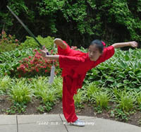 Diana 2002 Wushu Sword 3