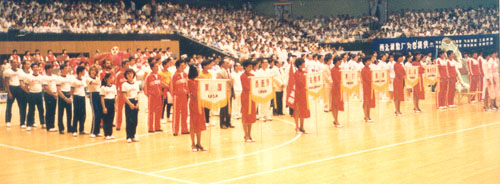 1985 Team B